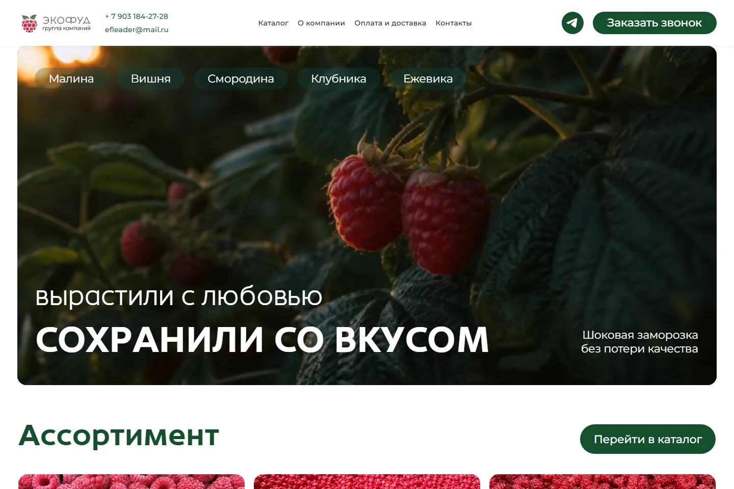 Экран страницы EFLeader.com на компьютере