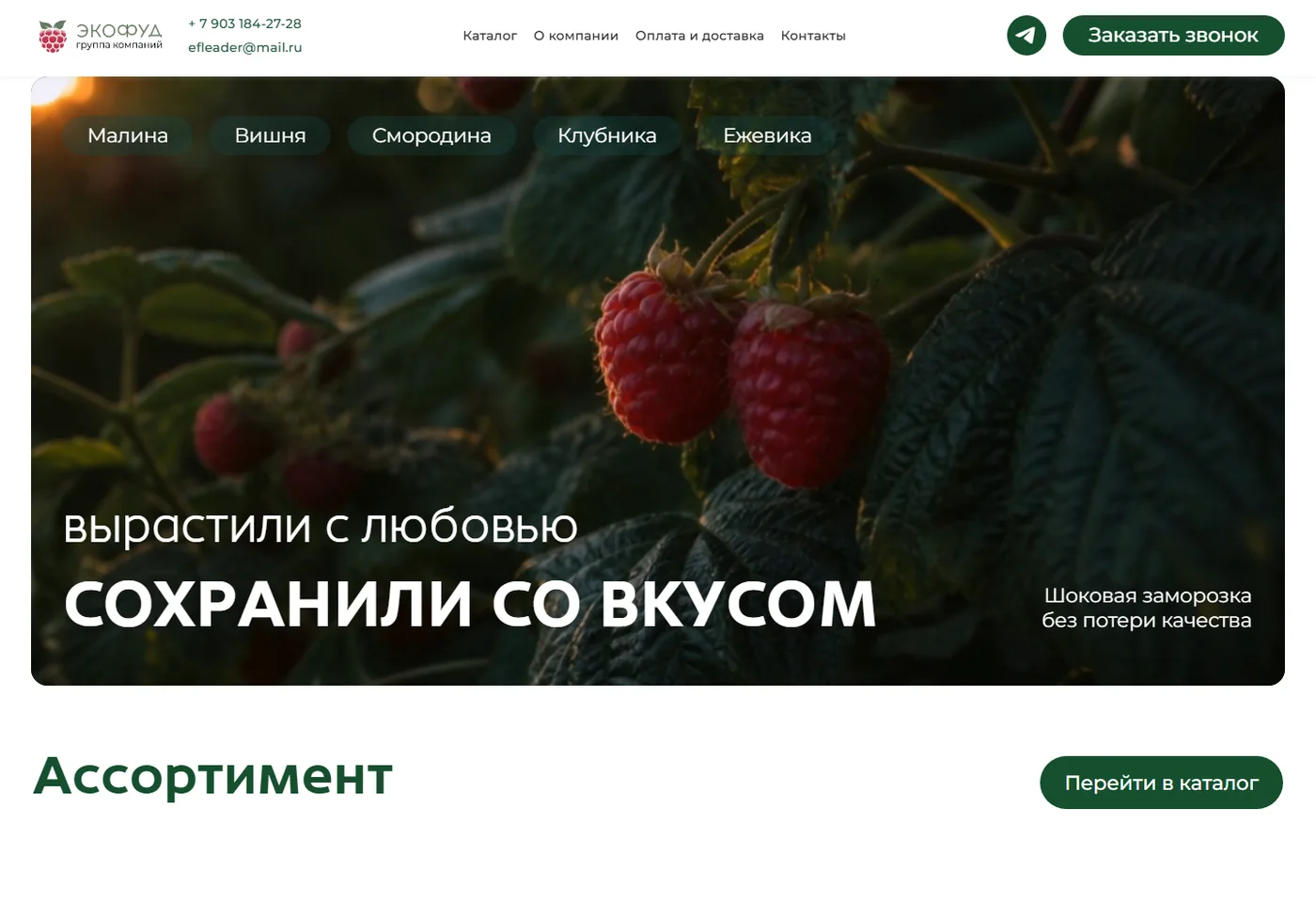 Реальный первый экран EFLeader.com, B2B-поставки замороженных фруктов и ягод